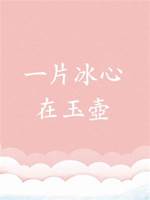 一片冰心在玉壺
