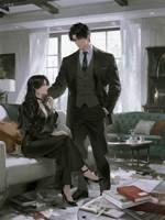 是宿敵也是妻子