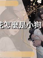 高嶺之花怎麼是小狗